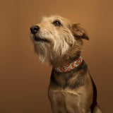 Artisanal Collar