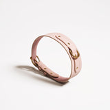 Classic Pink Collar